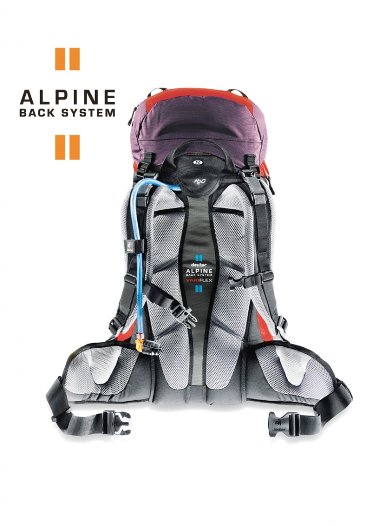 Alpine